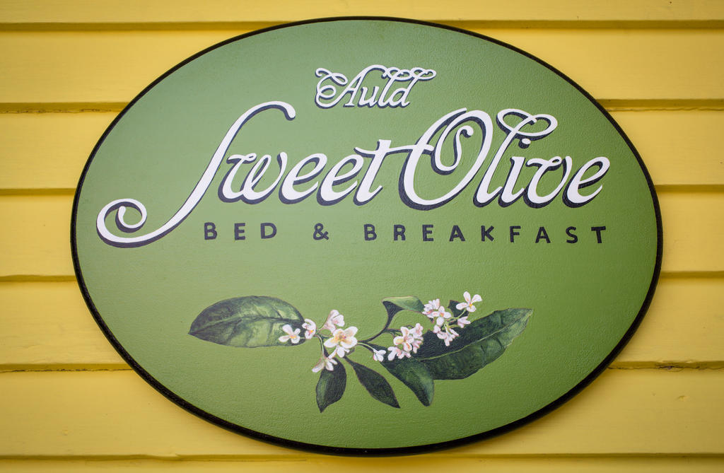 Auld Sweet Olive Bed And Breakfast Nowy Orlean Zewnętrze zdjęcie